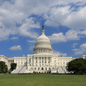 Tick-Talk : Washington Legislates Lyme, Predators, Permethrin, Protocols
