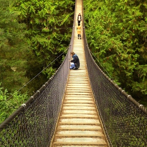 Lynn Canyon : North Vancouver Wild Experience